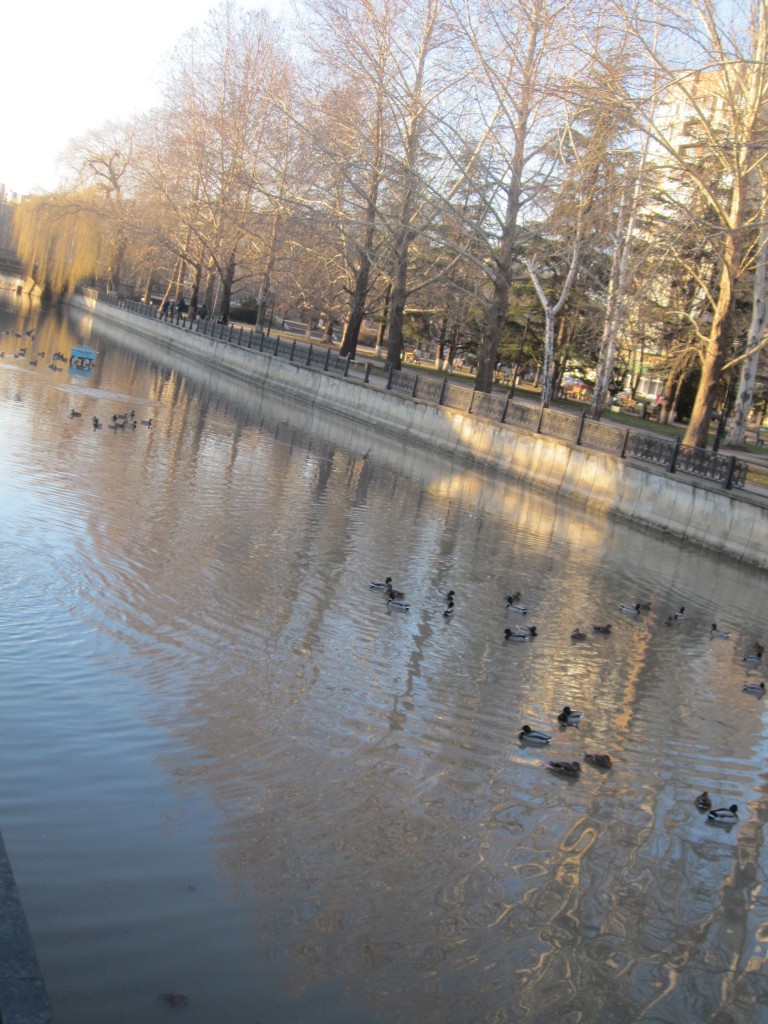 Февраль-2013 в Симферополе