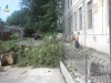 Симферопольскую улицу превратили в лесопилку (фото+видео)