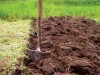 В Севастополе у дачного товарищества забрали землю