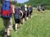 Курортного сбора в Крыму пока не будет
