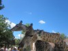 Зоопарк "Сказка" в Ялте закроют 16 марта