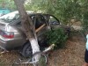 В Крыму авто без тормозов со старушкой в салоне проехало полкилометра до дерева (фото)