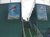 В Крыму начали сносить дельфинарий