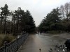 В самом главном парке Симферополя появятся новое колесо обозрения и сцена для концертов