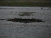 В Крыму ремонтируют дороги землей (фото)