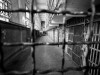 Севастопольского бизнесмена обвинили в краже 20 миллионов на топливе для госдач