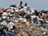 В Крыму посчитали мусор