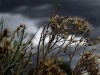 Ураганный ветер в Крыму ждут после обеда