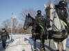 Осенью Севастополь увидит конную полицию