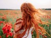 Директора школы в Крыму оштрафовали за запрет крашеных в рыжий волос