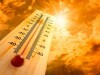 В Симферополе отметили рекордную температуру даже для лета