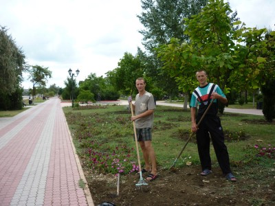 Труженики  Сергей и Иван пропалывают клумбы