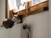 Долги крымчан за отопление дошли до 1,4 миллиарда рублей
