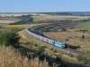 Поезда на крымском направлении загружены наполовину
