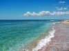 На Черном море установили летний запрет на вылов