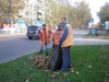 Керчь накрыл листопад 