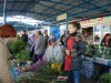 Теплая осень продлила сезон керченских садоводов