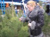 В Керчи открылись елочные базары