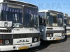 Как будут ходить автобусы 31 декабря