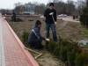 Цветники на городской набережной Керчи ждет реконструкция