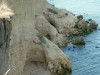  В Керчи защитникам природы предлагают объединяться