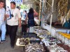 На рынке «Конгресс» выявили массу нарушений