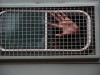 В Донецке разоблачена преступная группировка