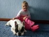 В Керчи пройдет выставка собак