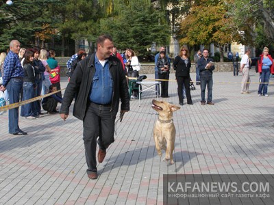 На выставке собак, фото из архива газеты Кафа