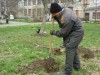 Создадут аллею Партизанской славы