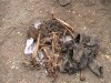 В Крыму нашли старый скелет 