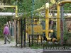 ЗАО «Теодосия» обвинили в неуплате налогов 