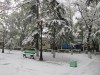 Феодосию завалило снегом (видео)