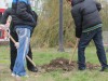 Керчь украсят сакурой и жасмином