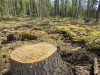 Суд пошел против Януковича
