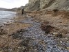 В Керчи выяснили, почему тонны хамсы выбросились из воды