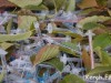В Керчи медики устроили свалку шприцев