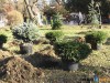 В Детском парке Симферополя хотят сделать целебный воздух