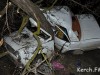 В Керчи парни сломали дерево и разбили "Жигули"