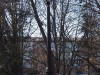 В Симферополе в сквере Тренева уже доделывают освещение