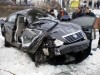 На Закарпатье  упавшее дерево убило двух человек в авто
