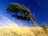 В Керчи разбушевалась стихия