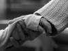 Мэрия Керчи просит на время непогоды проявить чувство уважения и выручки