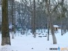 Жителям Симферополя предстоит пережить два самых холодных дня этой зимы