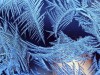 Ученые рассказали, почему в Европе сейчас так холодно