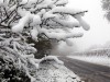 В Керчи обморозилось три десятка человек