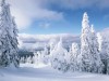 В Керчи обещают не засчитывать школьникам прогулы во время холодов