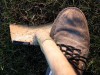 В Крыму женщина украла можжевельник у супермаркета, чтобы посадить на могиле