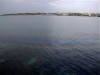 В морской воде Крыма появляются нефтяные пятна