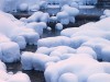В Симферополе переживают, что тающий снег открыл неубранный мусор
